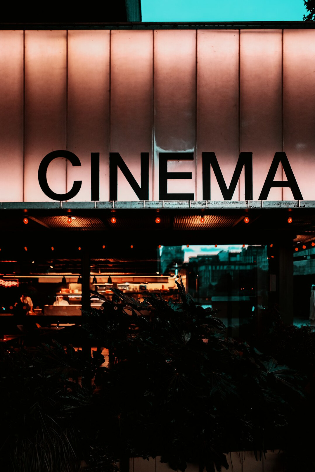 uruguayan film festival